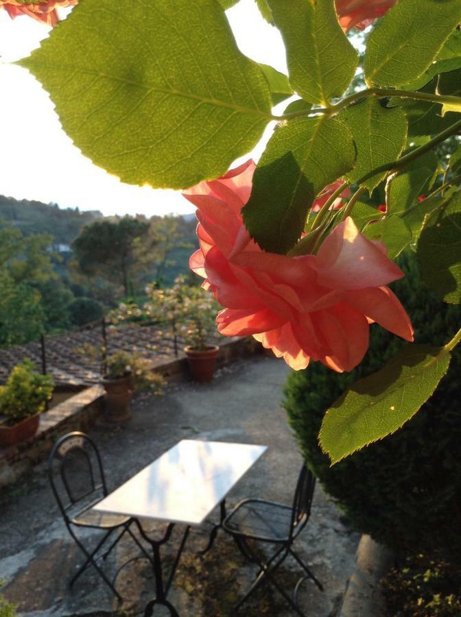 Fiesole In Giardino B&B Exteriér fotografie